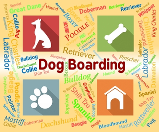 Illustration for article titled Suggestions about Finding the Best Dog Training Class or Trainer for Your Pet